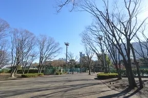 有明テニスの森