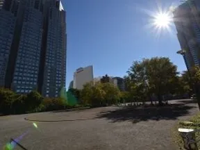 新宿中央公園