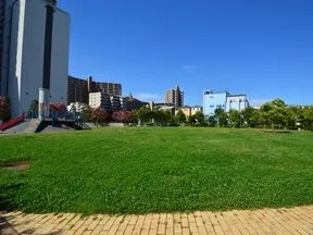 みどりの大広場