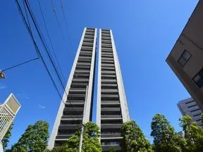 南から見た外観