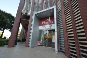 スーパーフェニックス お台場店