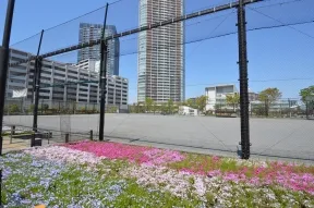 豊洲３丁目公園
