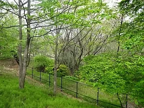 赤羽自然観察公園