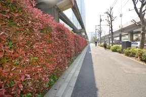 前面歩道
