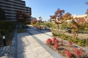屋上庭園