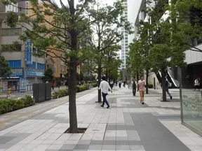 北に向かって直進していきます。
