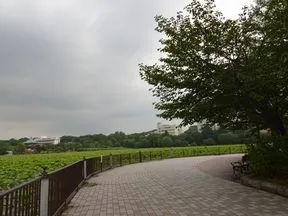上野恩賜公園