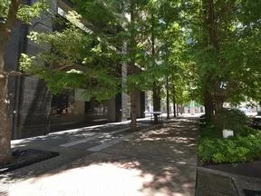 西側歩道