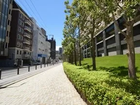 南側歩道