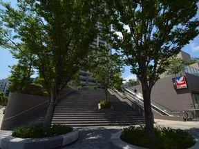 欅の広場 
