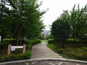 南桜公園