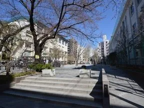 柳北公園