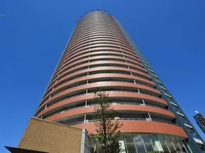 南西側より