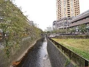 目黒川