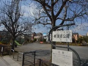 新海道公園
