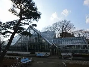 東京都薬用植物園