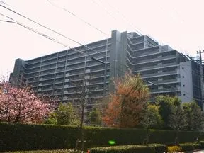 北西側からのセンターコート