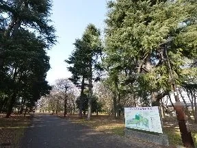 小金井公園