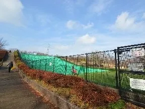 小金井公園
