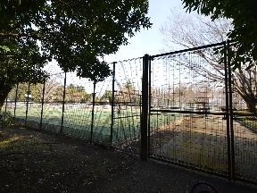 小金井公園テニスコート