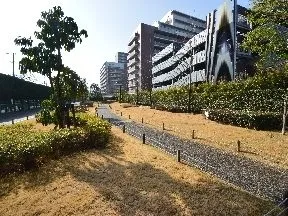 木もれ日のみち