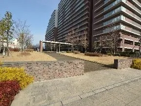 はじまりの木立