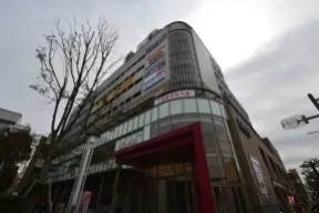 横断歩道を渡るとヴィナシス金町が見え<br>てきます