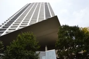 南から