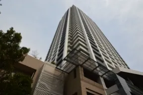 南西から