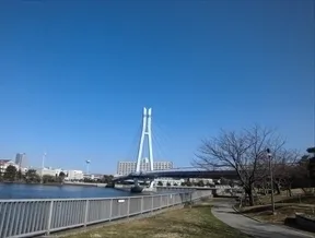 辰巳桜橋を渡ります。