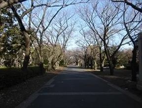 辰巳の森緑道公園