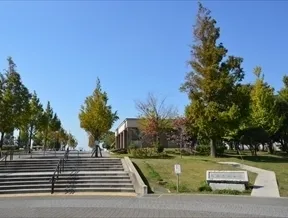豊洲公園