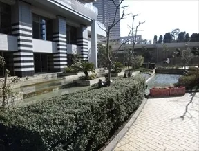 ウォーターテラス