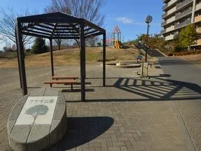 ケヤキ公園（敷地内）