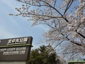 北の丸公園