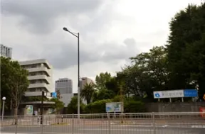 東京海洋大学の前を通ります。