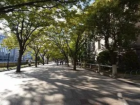 中之島緑道