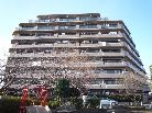 ダイアパレス浦和駒場公園