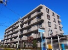 川口柳崎パークホームズ