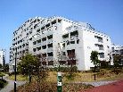 南大沢学園萌樹の丘