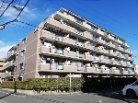 ダイアパレス京王堀之内V