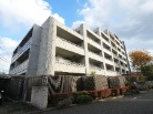 アデニウム京王堀之内