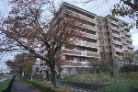 シーズガーデン永山