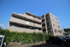 ライオンズマンション京王南大沢