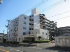 コープ野村松戸