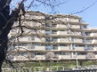 氷川台ハイム