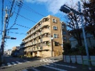 セザール中村橋