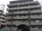 ドムール江古田