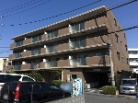 エンゼル氷川台コート2