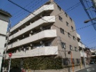 セイガステージ国立6